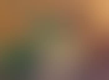 Nature morte aux poivrons (preview)