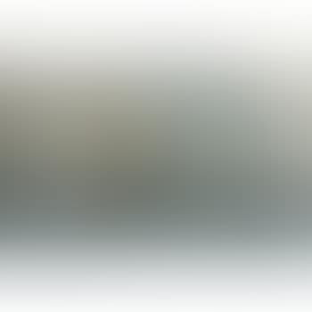 Full Rigged Clipper And Steam Yacht (preview)