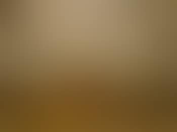 Horses in a Moorland landscape (preview)