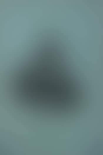 Untitled (caricature of a man in a frock coat) (preview)