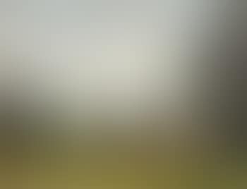 Cottages in a mountainous landscape (preview)