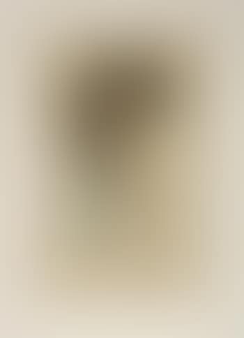 Abstract figure (preview)