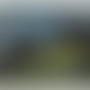 Landscape (preview)