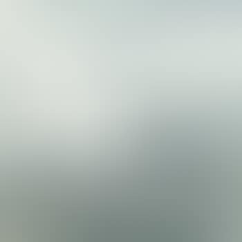 Four Egrets By The Reeds (preview)