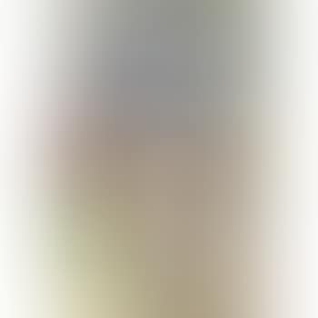 29 Burton Street (Study) (preview)