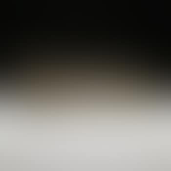 Untitled (welded form) (preview)