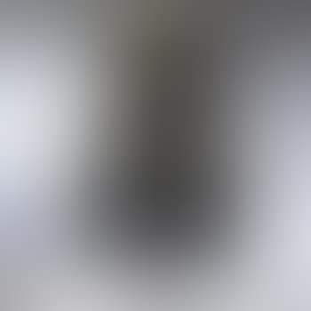 Untitled (willow) (preview)