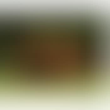 Four Indeterminate Lines (preview)