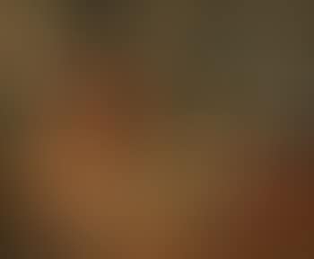Nature morte aux pommes (preview)