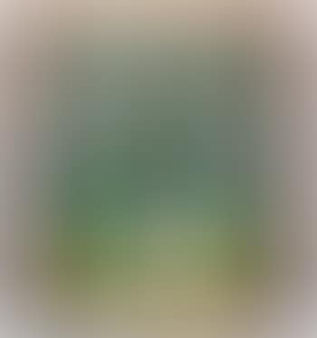 Still life (preview)