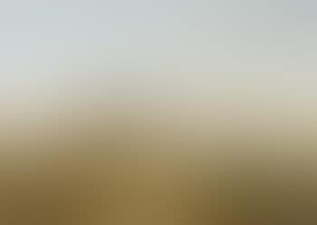 Sheep grazing in a summer coastal landscape, possibly Kent (preview)