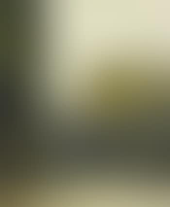 Waterloo Bridge (preview)