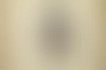 Portrait of 'M.K. Gandhi' (preview)