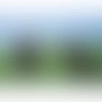 Tai Chi Series (preview)