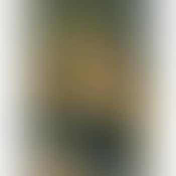 Femme Au Perroquet (Lady With Parrot) (preview)