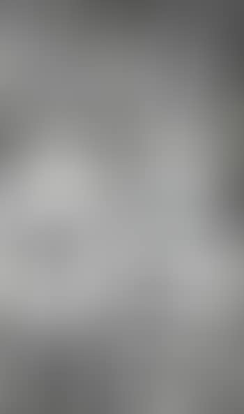 Picture Made by Hand with the Assistance of Light (preview)
