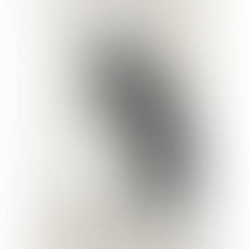 Bird (preview)