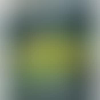 Mountain Scenery (preview)