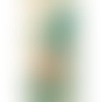 Landscape After Lan Ying (preview)