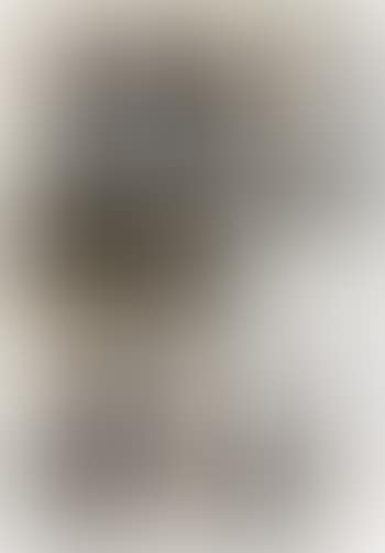 Untitled (preview)