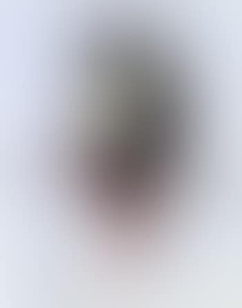 Damenportrat (preview)
