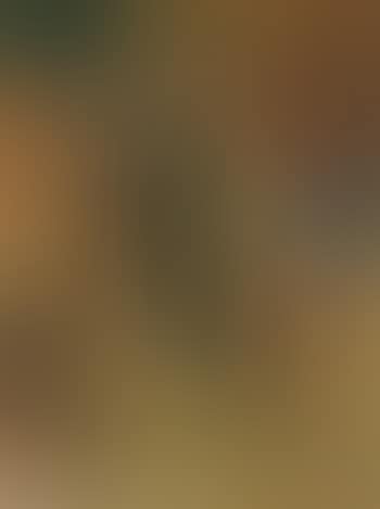Untitled multi-colored abstraction (preview)