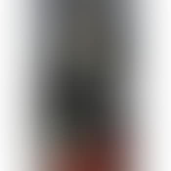 Portrait De La Duchesse De La Salle (preview)