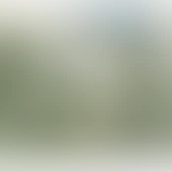The Trees (preview)