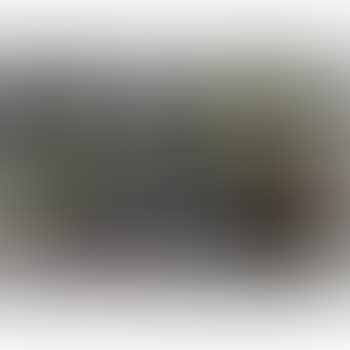 Nature Morte (preview)