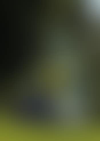 Buddah (preview)