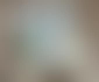 Nature morte (preview)