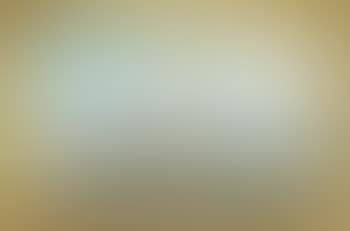 Portrait of an American clipper ship (preview)