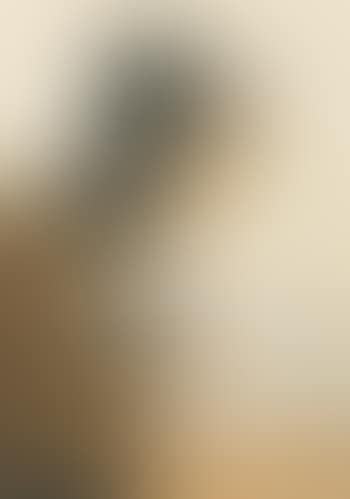 Lesende Frau (preview)