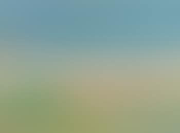 Bretonische Strandlandschaft (preview)