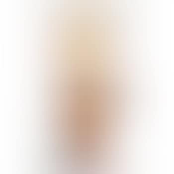 Caramia Caramello, The Lost Painting Of 1965 #75 (preview)