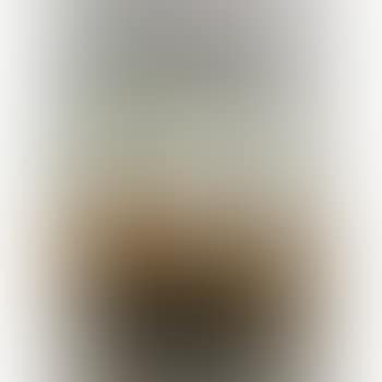 Lion (From The Africa Series) (preview)
