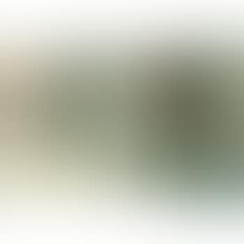 Untitled (Diptych) (preview)