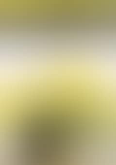 Chantal au bouquet jaune (preview)