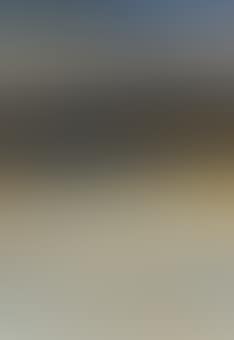 Les Vignes (preview)