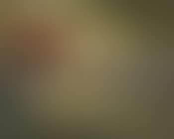 Munchen Planegg - Buntes Leben (preview)