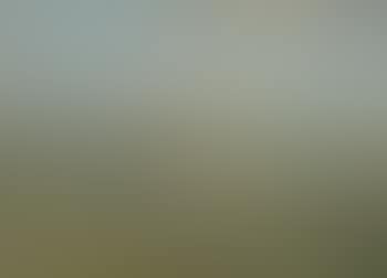 View across the landscape (preview)