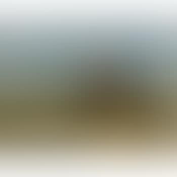 A Young Woman From Katwijk (preview)