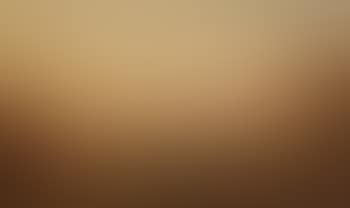 Extensive autumn vista with cattle (preview)
