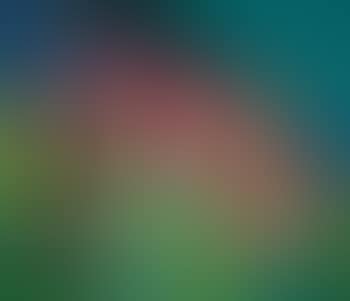 Abstraction (preview)