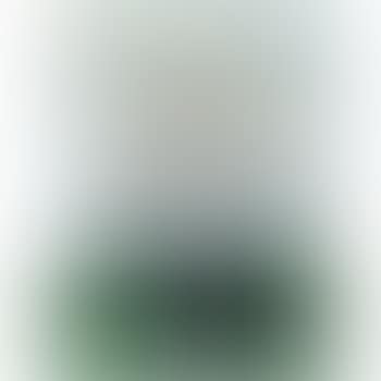 Fleurs dans un vase bleu (preview)