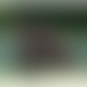 Single whip 1/8 (preview)