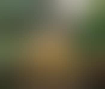 People in a park (preview)
