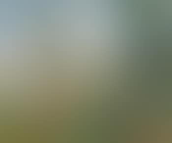 Paysage en Normandie (preview)