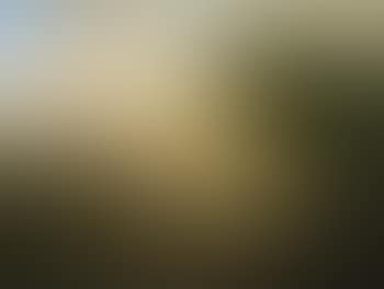 Antike Landschaft mit Bacchanten (preview)