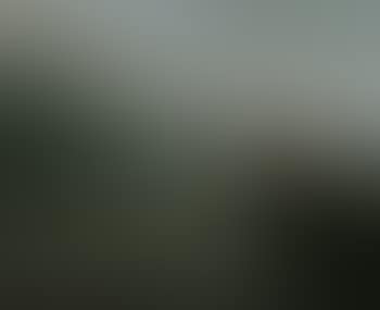 Romantische Landschaft (preview)